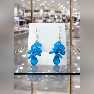 Silver and blue stone earrings